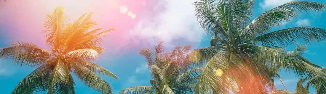 1000 Smiles Dental Group in Reseda CA