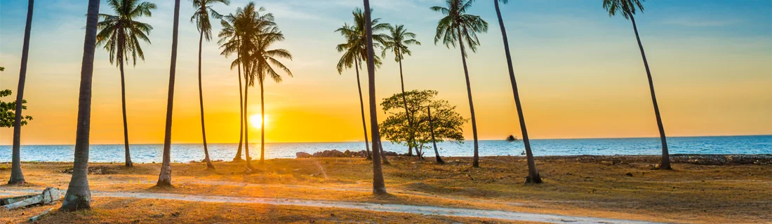 1000 Smiles Dental Group in Thousand Oaks CA